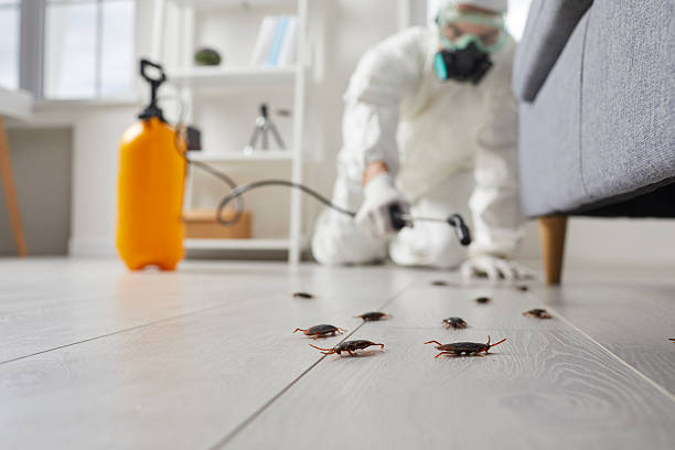 Commercial Kitchen Cockroach Control in Fredonia